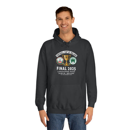 Football Cup of Ireland Final Hoodie